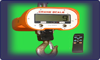 Crane Scales